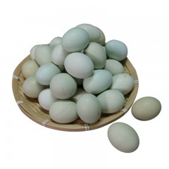 绿壳土鸡蛋60枚 有机认证 散养土鸡 新鲜鸡蛋